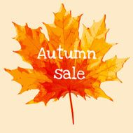 Autumn Sale N48