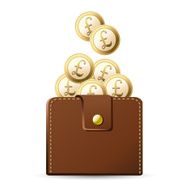 Wallet with Pound coins