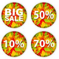 Autumn Sale N49