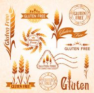 Gluten free design elements N3