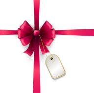 Holiday ribbon and bow