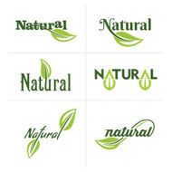 Set of ecology icons with green leaves in vector N5