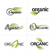 Set of ecology icons with green leaves in vector N6