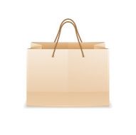 Paper Shopping Bag N16