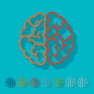 Flat design brain N24