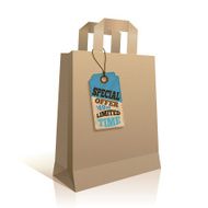 Big carry paper shopping bag