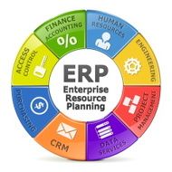 Vector ERP system