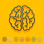 Flat design brain N29