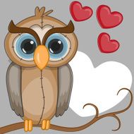 owl N72