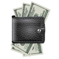 Leather wallet with dollar USA Vector