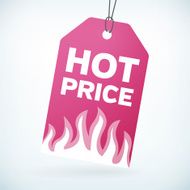 HOT PRICE label tag