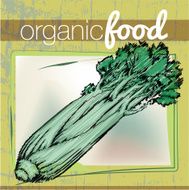 Organic Food illustration N11