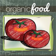 Organic Food illustration N15