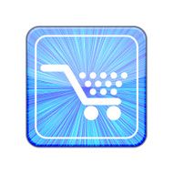 Vector version Shopping icon Eps 10 illustration N2