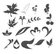 Collection of Leaf nature icons
