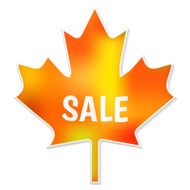 Autumn Sale N50