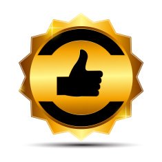 Gold Label Sign Template Vector Illustration N15