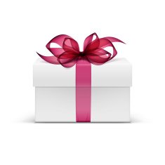 Vector Box with Red Ribbon and Bow Isolated on Background N2
