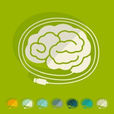 Flat design brain N17