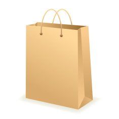 Paper Bag N29
