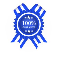 Badge of guarantee N2
