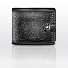 Leather wallet vector