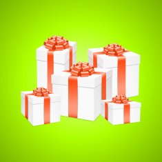 vector gift box N4