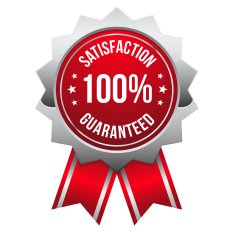 Red silver hundred percent satisfaction badge