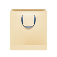 Blank brown paper bag with black handles N2