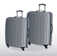 Gray Suitcases N2