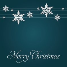 Elegant Christmas Greeting Card N4