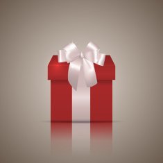 Gift Box N60