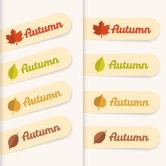 Autumn Sale N47