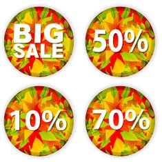 Autumn Sale N49