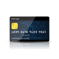 Vector credit card N11