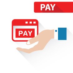 Pay Concept vector N2