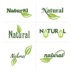 Set of ecology icons with green leaves in vector N5