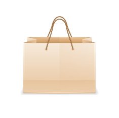 Paper Shopping Bag N16