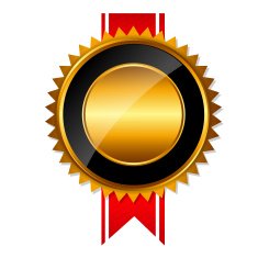 Gold Label Sign Template Vector Illustration N19
