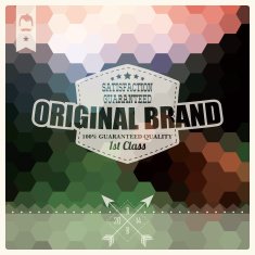 Vintage retro hipster label typography geometric design elements vector illustration N17