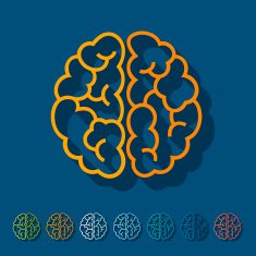 Flat design brain N26