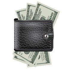Leather wallet with dollar USA Vector