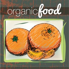 Organic Food illustration N13