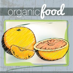 Organic Food illustration N14