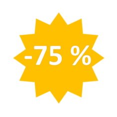Sale icon for 75 percent