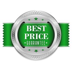 Green best price button with ribbon N2