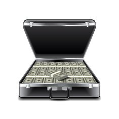 Suitcase full of money isolated on white vector