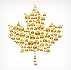 Maple Leaf on Gold Coin Buttons N2