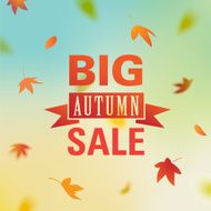 Autumn Sale N52