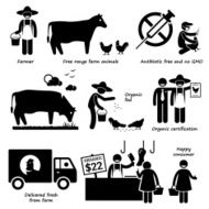 Natural Organic Meat Beef Chicken Poultry Stick Figure Pictogram Icons